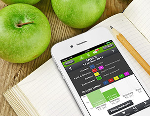 Hälsoprogram för anställda